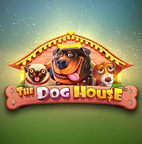  slot The Dog House, apostas, dicas, estratégias, cassino online.